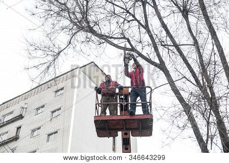 Workers In The Municipal Utilities Cut Tree Branches. Trimming Tree Branches Interfering With Power 