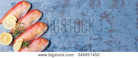 Beautiful Tropical Red Sea Fish Pearly Razorfish On A Blue Background. Galan Fish Xyrichtys Novacula