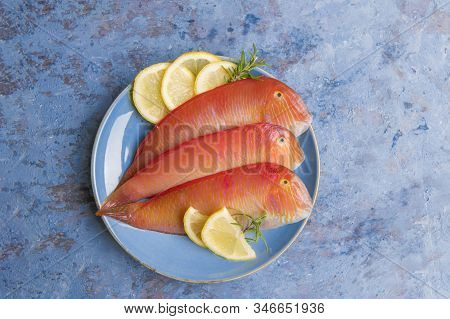 Beautiful Tropical Red Sea Fish Pearly Razorfish On A Blue Background. Galan Fish Xyrichtys Novacula
