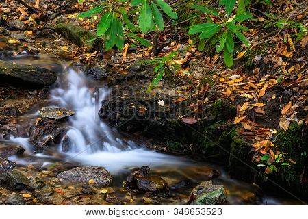 Water Spilling Down The Autumn Forest Floor
