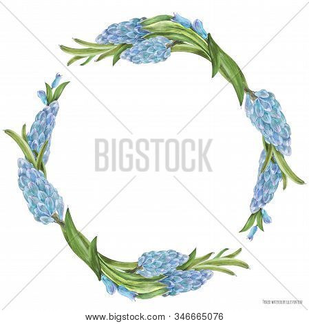 Hyachinth Watercolor Spring Floral Wreath On A White Background, Traced