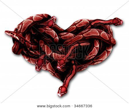 Сердце змеи