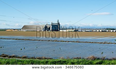 Davis, California, Usa, 11 January 2017. - Flood Around The Shf Rice Dryer And Warehouse By The Yolo