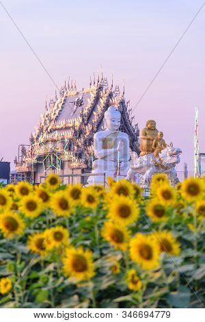 Nakhonpathom , Thailand -  9 Jan, 2020 : Wide View Of Sunflower Field At Wat Si Yaek Charoen Phon