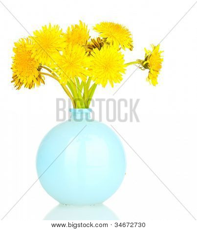 Löwenzahn Blumen in der Vase isoliert auf weiss