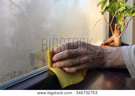 Absorb And Stop Condensation On Windows Overnight