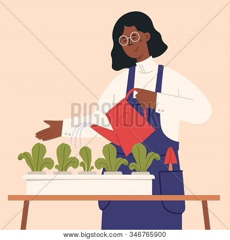 Easy Hydroponic Garden At Home. Green House