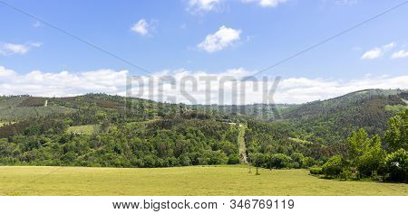 Farm Of Cows And Bulls Grazing On The Mountain