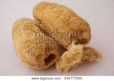 Natural Sponge Vegetable Luffa Or Zucchini Sponge For Body Scrubbing On White Background.