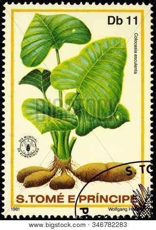 Moscow, Russia - January 23, 2020: Stamp Printed In Sao Tome And Principe Shows Plant Elephant-ear, 