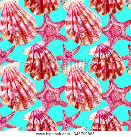 Seamless Pattern Of Scallop Shells. Mother Of Pearl With Pink Clam Pectinidae And Starfish On A Whit