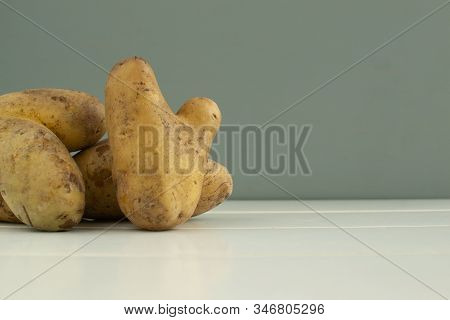 Ugly Vegetables. Potatoes On A Gray Background Background. The Form Does Not Affect The Taste, Ugly 