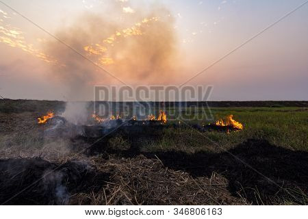 Picture Of A Rice Field In A Rural Area Where Villagers Are Burning Stumps Of Rice. With The Backdro