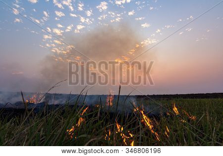 Picture Of A Rice Field In A Rural Area Where Villagers Are Burning Stumps Of Rice. With The Backdro