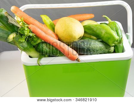Fruit And Vegetables Inside Hand Held Refrigerator