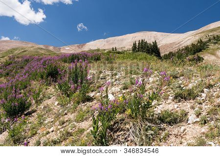 Mount Sherman Is Located In Lake County And Is Part Of The Mosquito Range In Pike National Forest, C