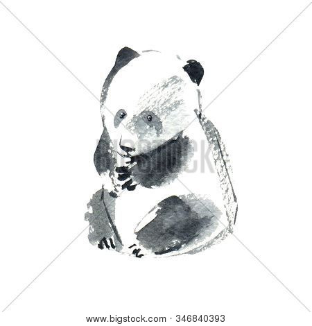 Panda Animal. Watercolor Hand Drawn Illustration.white Background.