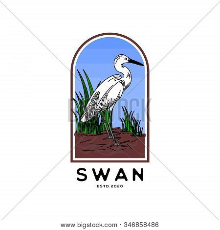 Illustration Of Swan And Grass Colored Design Inspiration