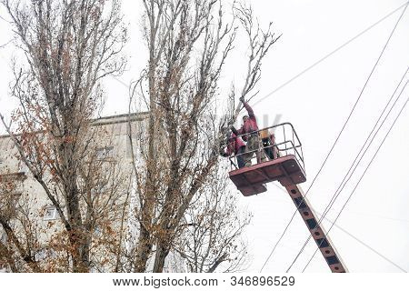 Workers In The Municipal Utilities Cut Tree Branches. Trimming Tree Branches Interfering With Power 