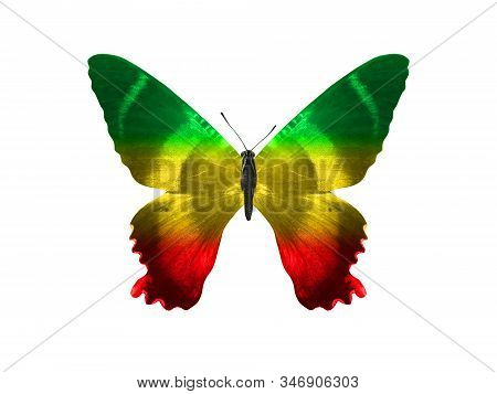 Butterfly Isolated On A White Background. With Wings Of Yellow, Green, Red. Rasta Color.