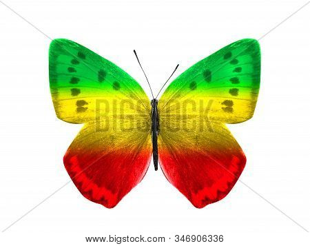 Butterfly Isolated On A White Background. With Wings Of Yellow, Green, Red. Rasta Color.