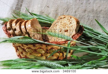 Brood en Spicas van rogge
