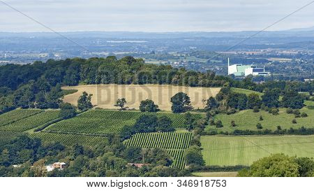 Vineyards On Doverow Hill, Stroud, Gloucestershire 
With Javelin Park Incinerator Behind