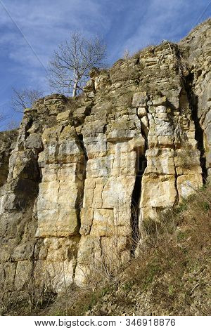 Jurassic Inferior Oolite Limestone Cliff At Salterley (or Wagon) Quarry, Leckhampton Hill, Cheltenha