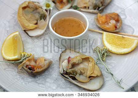 Fresh Tua Tua Clams On Plate In New Zealand