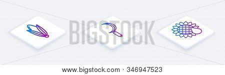 Set Isometric Line Corn, Sickle And Sunflower. White Square Button. Vector