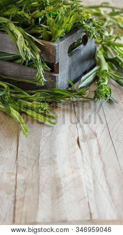 Fresh Raw Italian Chicory (puntarelle) From A Local Farmers Market