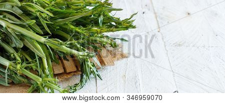Fresh Raw Italian Chicory (puntarelle) From A Local Farmers Market