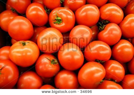 Hot House Tomatoes