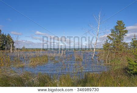 High Water Lagoon On The Shores Of Lake Huron At Tawas Point In Tawas Point State Park In Michigan
