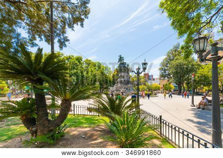 Argentina Cordoba January, 25 Tropical Plants In San Martin Square, The Main Park In The Historic Ce