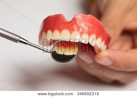 Denture Prosthesis In Doctor Dentist Hands, Checking With Mirror