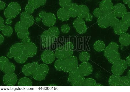 Modern Design A Lot Bio Cells Digital Graphic Texture Illustration