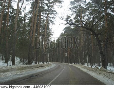 The Road Through The Forest Of Tall Pines In Snowy Winter