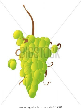Grapesgradient.pdf