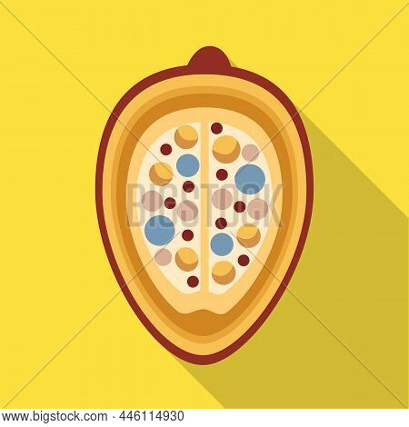 Isolated Object Of Groundnut And Seed Logo. Collection Of Groundnut And Vitamins Stock Vector Illust