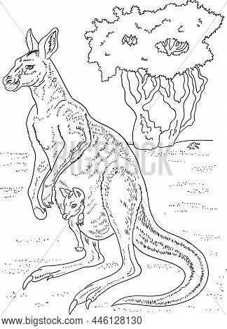 Childrens Coloring Book, Kangaroo With Cub In Home