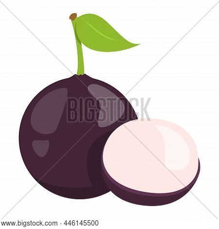 Jabuticaba tropical fruit vector isolated. Exotic berry, juicy product. Sweet raw dessert jaboticaba, slice of a berry, fresh pulp.