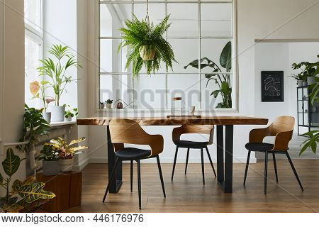 Stylish And Botany Interior Of Dining Room With Design Craft Wooden Table, Chairs, A Lof Of Plants,