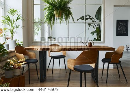 Stylish And Botany Interior Of Dining Room With Design Craft Wooden Table, Chairs, A Lof Of Plants,