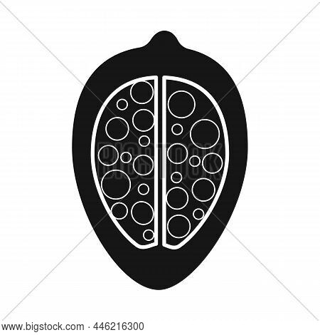 Vector Design Of Groundnut And Seed Icon. Collection Of Groundnut And Vitamins Stock Symbol For Web.