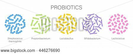 Probiotic Bacteria Set In Circle. Gut Microbiota With Healthy Prebiotic Bacillus.