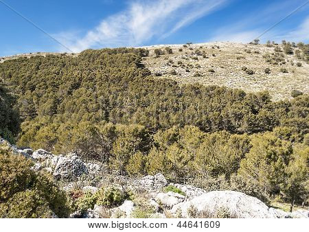 Dağ, Ronda