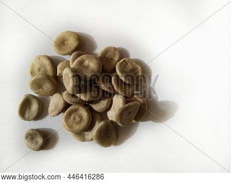 Strychnos Nux Vomica Or Poison Nut Seeds. It Is Also Called Kuchala,zahra, Kajra Etc. It Is A Decidu
