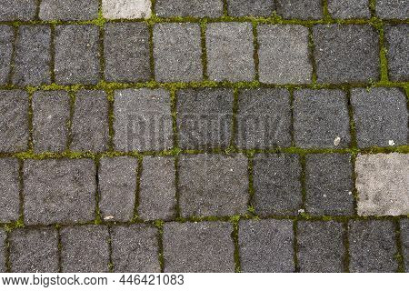 Background Of Brown-gray Stone Rooad With  Moss . Pattern Of Slate Wall Texture And Background