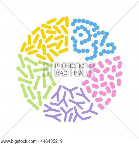 Probiotic Bacteria Set In Circle. Gut Microbiota With Healthy Prebiotic Bacillus.
